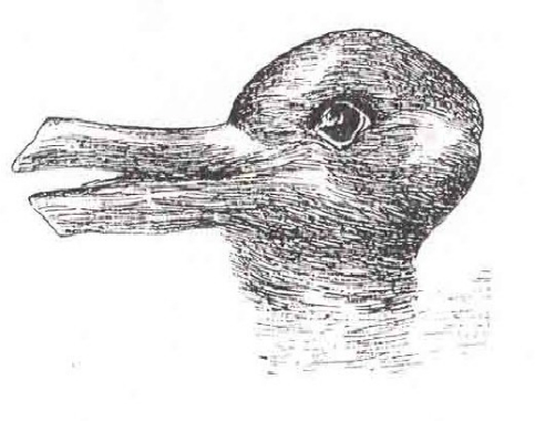 picture of duck or rabbit illusion